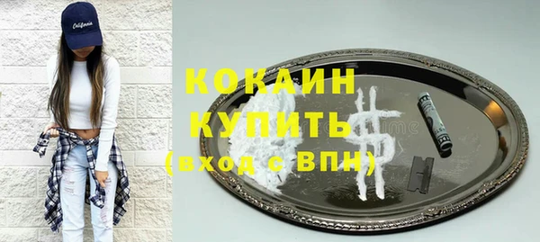 эйфоретик Гусев