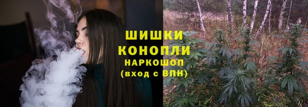 дживик Гусиноозёрск