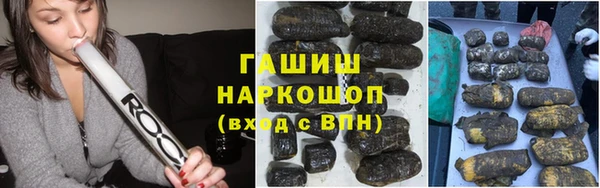 эйфоретик Гусев