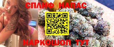 гидра Тула