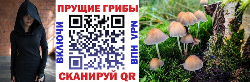 Галлюциногенные грибы мухоморы  Нижневартовск 